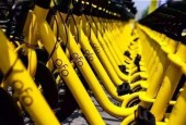 52家P2P投资人可登记投资损失；ofo遭上千用户投诉